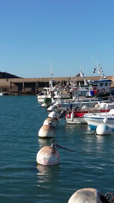 Entre Golfe Et Ocean La Trinité-Surzur Exterior foto