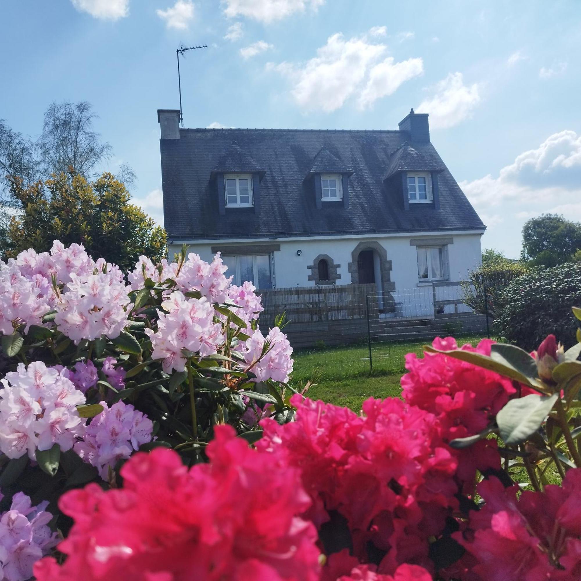 Entre Golfe Et Ocean La Trinité-Surzur Exterior foto